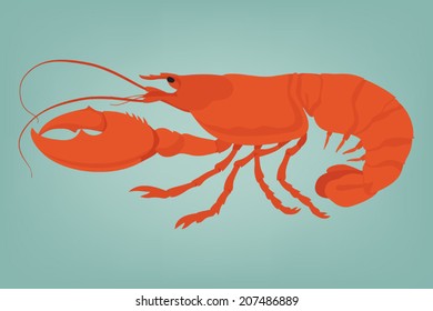 Vector lobster on simple background