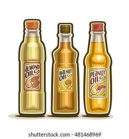 Vector logo 3 glass Bottle with pure Almond Oil, bottles virgin cooking Walnut oil, container natural organic peanut oils and goober nut oily liquid with cap and label, closeup isolated on white.