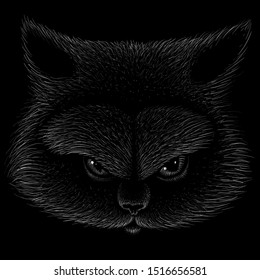 The Vector logo angry and suspicious cat for tattoo or T-shirt design or outwear.  Cute print style cat background. This drawing would be nice to make on the black fabric or canvas.