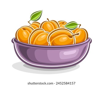 Vector logo for Apricot, decorative horizontal poster with outline illustration of orange apricot composition with green leaves on stem, cartoon design print with yellow apricots on white background