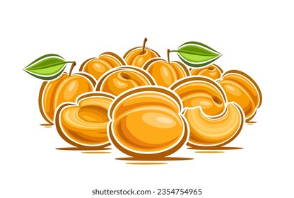 Vector logo for Apricots, decorative horizontal poster with cartoon design fruity apricot composition, fruit print with whole and chopped yellow triangle part of raw juicy apricots with green leaves