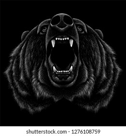 The Vector logo bear for T-shirt design or outwear print .  Hunting style bear background.