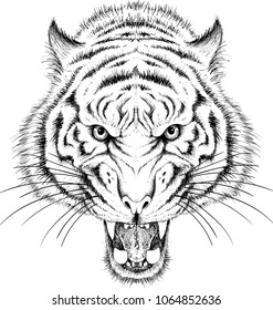 
The Vector logo Bengal white tiger for T-shirt design or outwear.  Hunting style background.