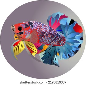 vector logo bettafish multicolour plaque with yellow color dorsal