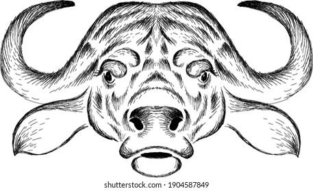 The Vector logo bull for T-shirt design or outwear.  Hunting style bull background. This drawing would be nice to make on the black fabric or canvas.