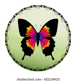 Vector logo butterfly on a white background