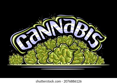 Vector logo for Cannabis, horizontal poster with illustration of ounce cannabis buds and cartoon isolated dried marijuana flower, unique brush lettering for blue word cannabis on dark background.
