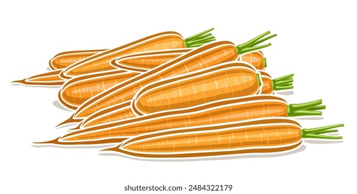 Logo de Vector para Zanahoria, cartel decorativo Horizontal con ilustración de contorno de la composición de zanahoria amarilla con hojas verdes, diseño de dibujos animados impresión vegetal con zanahorias crujientes sobre fondo blanco