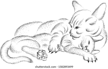 The Vector logo cat hugs kitten as mom hugs her baby for tattoo or T-shirt design or outwear.  Cute print style cat background. This drawing would be nice to make on the black fabric or canvas.