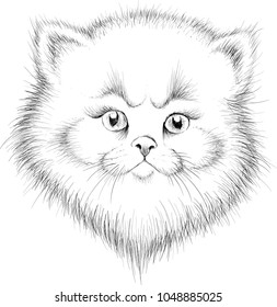 The Vector logo cat for tattoo or T-shirt design or outwear.  Cute print style cat background.