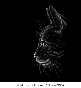 The Vector logo cat for tattoo or T-shirt design or outwear.  Cute print style cat background.