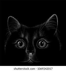 The Vector logo cat for tattoo or T-shirt design or outwear.  Cute print style cat background.