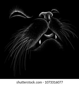 The Vector logo cat for tattoo or T-shirt design or outwear.  Cute print style cat background.