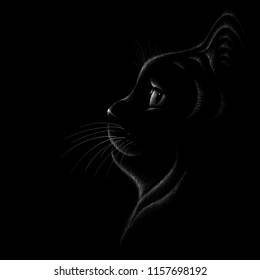 The Vector logo cat for tattoo or T-shirt design or outwear.  Cute print style cat background.