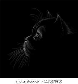 The Vector logo cat for tattoo or T-shirt design or outwear.  Cute print style cat background.