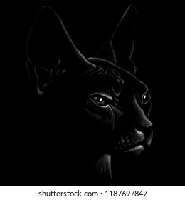 The Vector logo cat for tattoo or T-shirt design or outwear.  Cute print style cat background.
