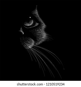 The Vector logo cat for tattoo or T-shirt design or outwear.  Cute print style cat background.