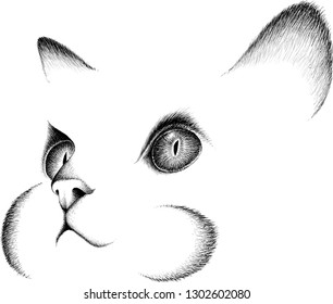The Vector logo cat for tattoo or T-shirt design or outwear.  Cute print style cat background.