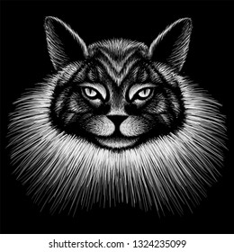 The Vector logo cat for tattoo or T-shirt design or outwear.  Cute print style cat background.