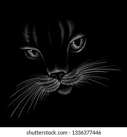 The Vector logo cat for tattoo or T-shirt design or outwear.  Cute print style cat background.