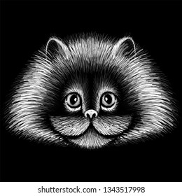 The Vector logo cat for tattoo or T-shirt design or outwear.  Cute print style cat background.