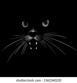 El gato con el logotipo del Vector para tatuajes, diseños de pantalones T o ropa interior.  Fondo de gato estilo impresión.