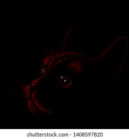 The Vector logo cat for tattoo or T-shirt design or outwear.  Cute print style cat background.