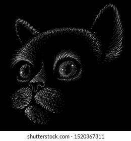 The Vector logo cat for tattoo or T-shirt design or outwear.  Cute print style cat background. This drawing would be nice to make on the black fabric or canvas.