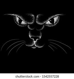 The Vector logo cat for tattoo or T-shirt design or outwear.  Cute print style cat background. This drawing would be nice to make on the black fabric or canvas.