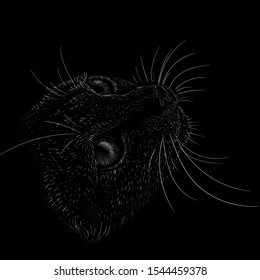 The Vector logo cat for tattoo or T-shirt design or outwear.  Cute print style cat background. This drawing would be nice to make on the black fabric or canvas.