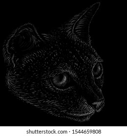 The Vector logo cat for tattoo or T-shirt design or outwear.  Cute print style cat background. This drawing would be nice to make on the black fabric or canvas.