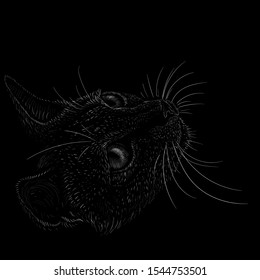 The Vector logo cat for tattoo or T-shirt design or outwear.  Cute print style cat background. This drawing would be nice to make on the black fabric or canvas.