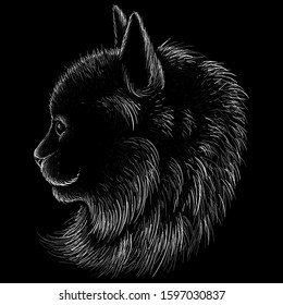 The Vector logo cat for tattoo or T-shirt design or outwear.  Cute print style cat background. This drawing would be nice to make on the black fabric or canvas.