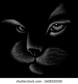The Vector logo cat for tattoo or T-shirt design or outwear.  Cute print style cat background.  