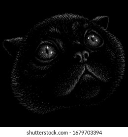The Vector logo cat for tattoo or T-shirt design or outwear.  Cute print style cat background. This drawing would be nice to make on the black fabric or canvas.