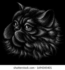 The Vector logo cat for tattoo or T-shirt design or outwear.  Cute print style cat background. This hand drawing would be nice to make on the black fabric or canvas.