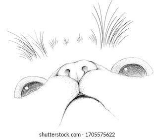 The Vector logo cat for tattoo or T-shirt design or outwear.  Cute print style cat background. This drawing would be nice to make on the black fabric or canvas.