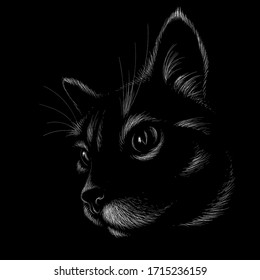 The Vector logo cat for tattoo or T-shirt design or outwear.  Cute print style cat background. This hand drawing would be nice to make on the black fabric or canvas.