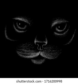The Vector logo cat for tattoo or T-shirt design or outwear.  Cute print style cat background. This hand drawing would be nice to make on the black fabric or canvas.