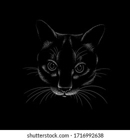 The Vector logo cat for tattoo or T-shirt design or outwear.  Cute print style cat background. This hand drawing would be nice to make on the black fabric or canvas.