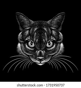 The Vector logo cat for tattoo or T-shirt design or outwear.  Cute print style cat background. This hand drawing would be nice to make on the black fabric or canvas.