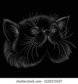 The Vector logo cat for tattoo or T-shirt design or outwear.  Cute print style cat background. This hand drawing would be nice to make on the black fabric or canvas.