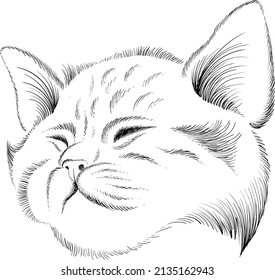 The Vector logo cat for tattoo or T-shirt design or outwear.  Cute print style cat background. This hand drawing would be nice to make on the black fabric or canvas.