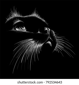 The Vector logo cat for tattoo or T-shirt design or outwear.  Cute print style cat background.