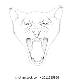 The Vector logo cat for T-shirt design or print on outwear.  Tattoo cats style background.
