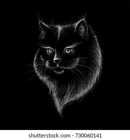 The Vector logo cat for T-shirt design or outwear.  Halloween cats style background.