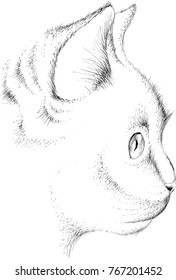 
The Vector logo cat for T-shirt design or outwear.  Tattoo cats style background.