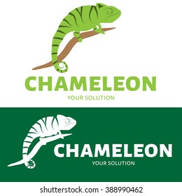 Vector logo chameleon. Brand logo in the shape of a chameleon sitting on a branch