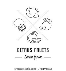 Vector logo citrus fruits. Hipster emblem, label or banner for citrus fruits. Line sign with elements. Concept brand.