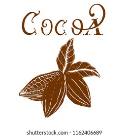 vector logo of cocoa and chocolate in retro style, lettering, cocoa beans, design element
